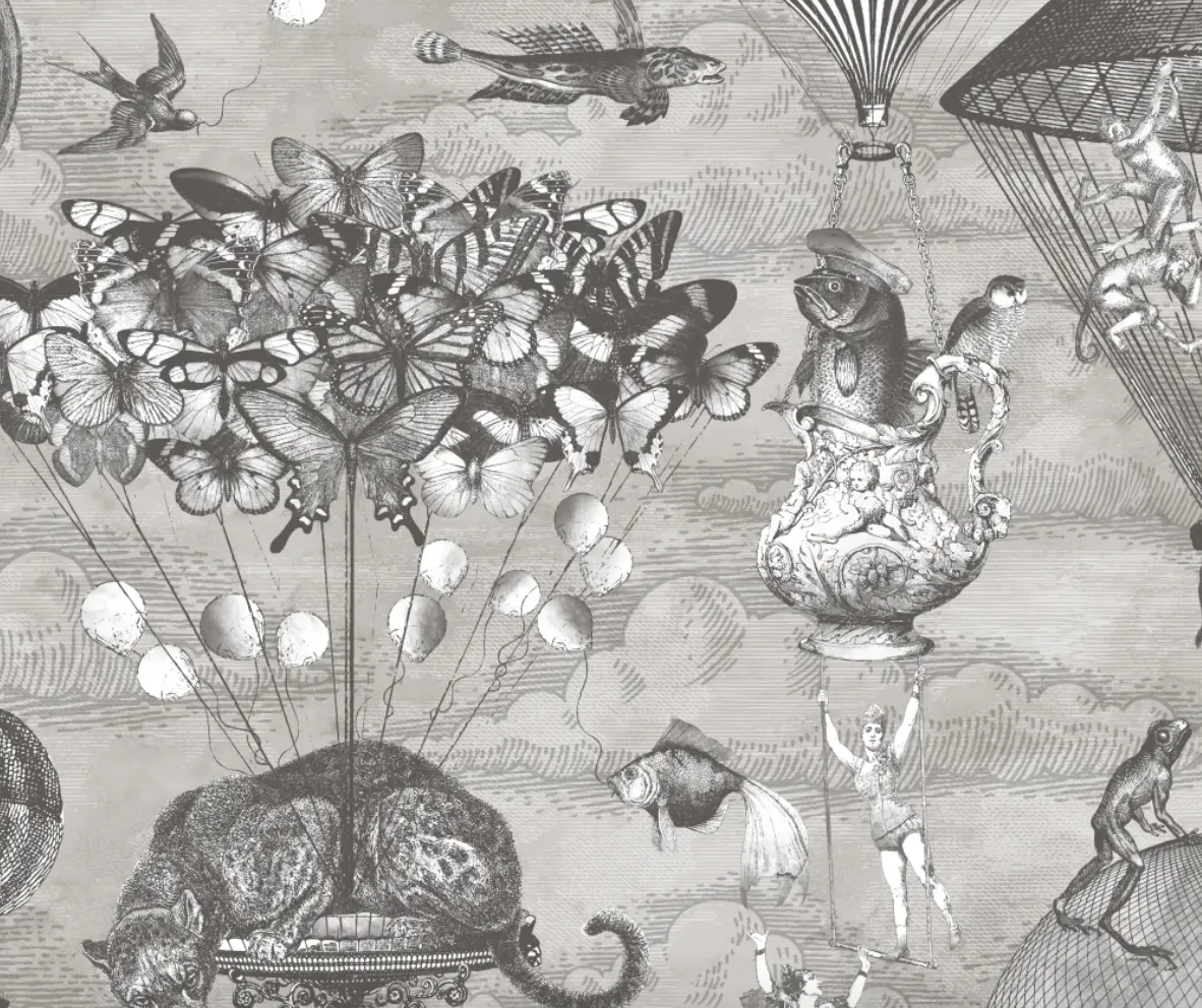 Curious Skies - Black / White