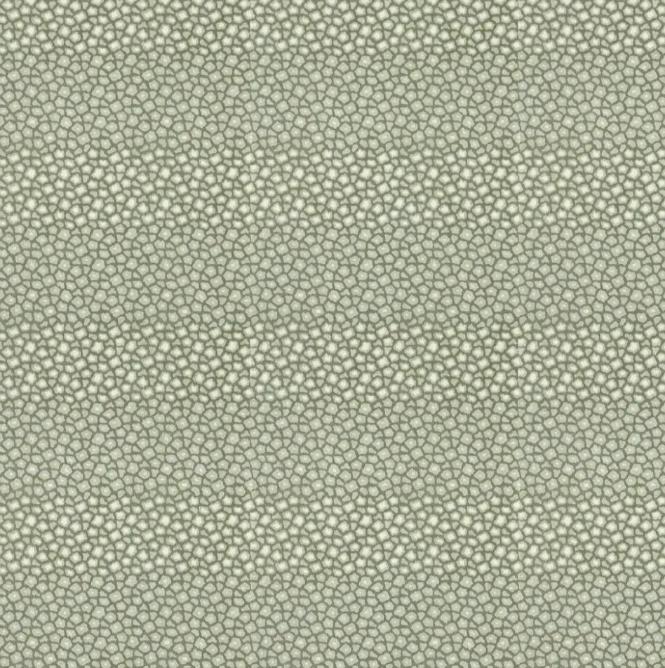 Loam - Evergreen