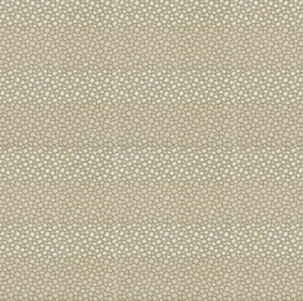 Loam - Sandstone