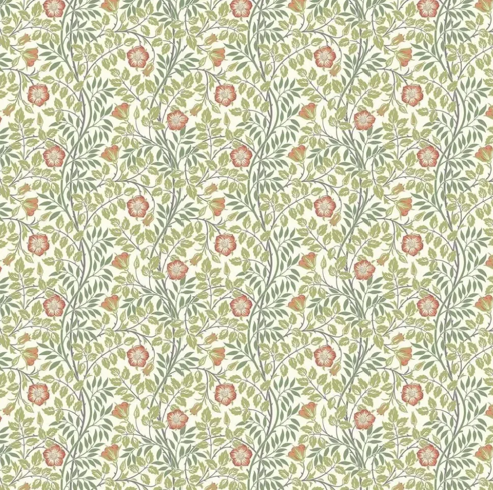Rosehip Trail - Coral Pink