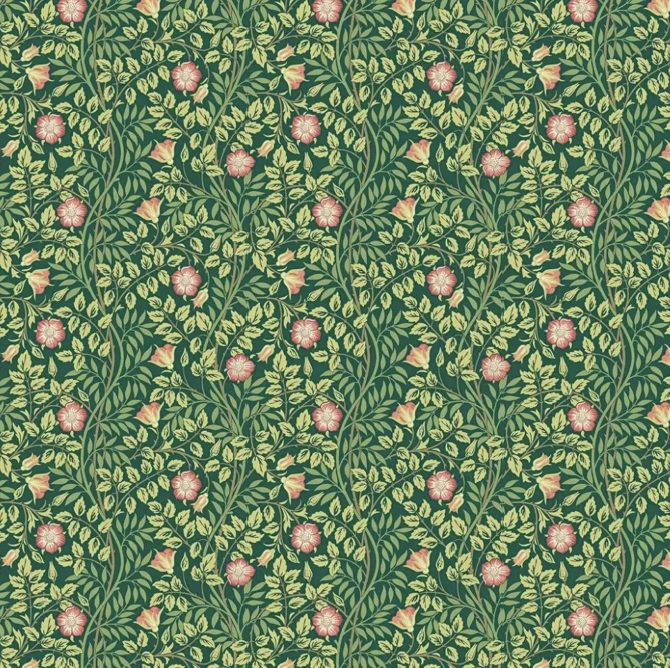 Rosehip Trail - Forest Green