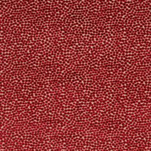 Darwin - Red