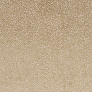 Darwin - Beige