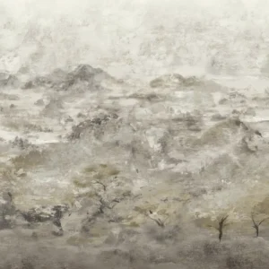 Brunate - Mountain Shadow