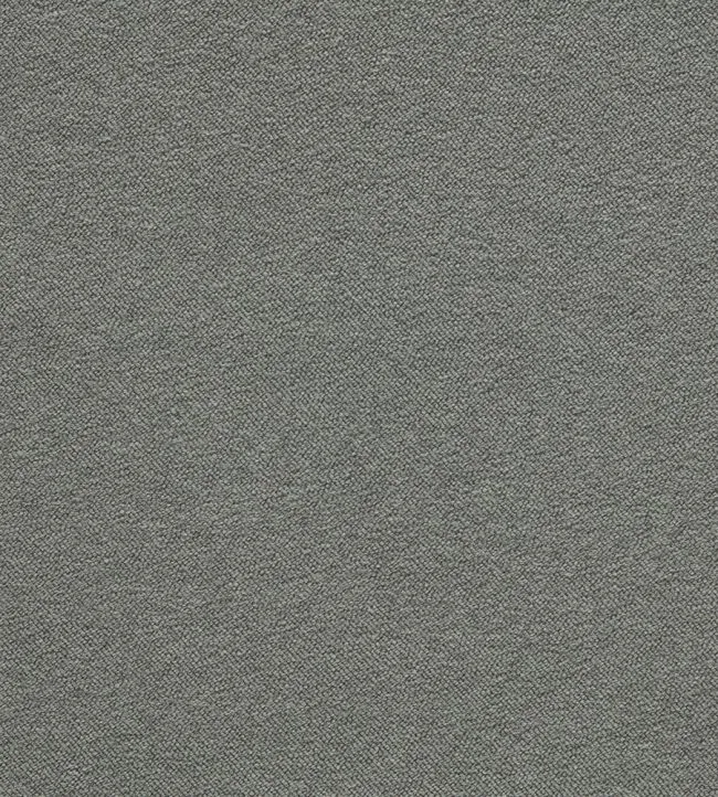 Boucle - Empire Grey