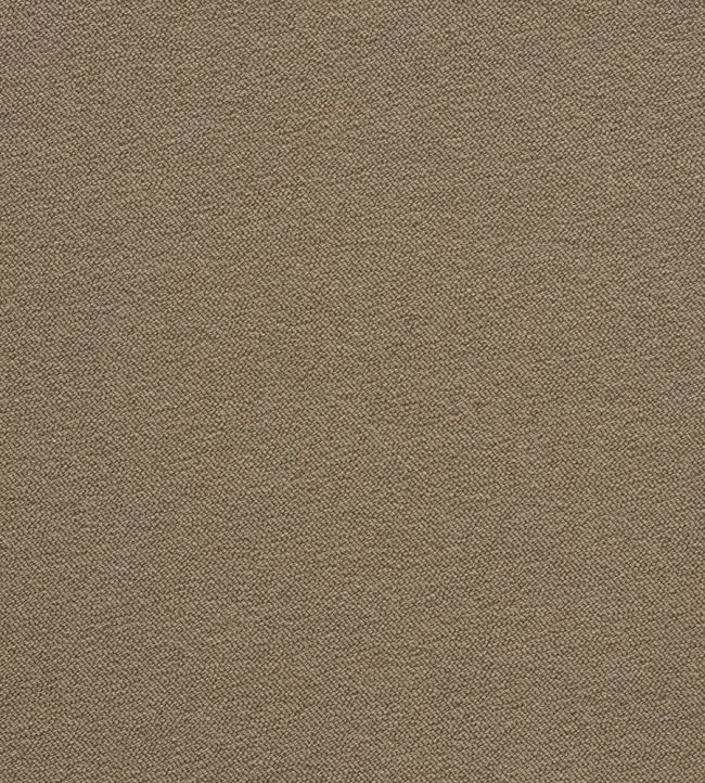 Boucle - Taupe