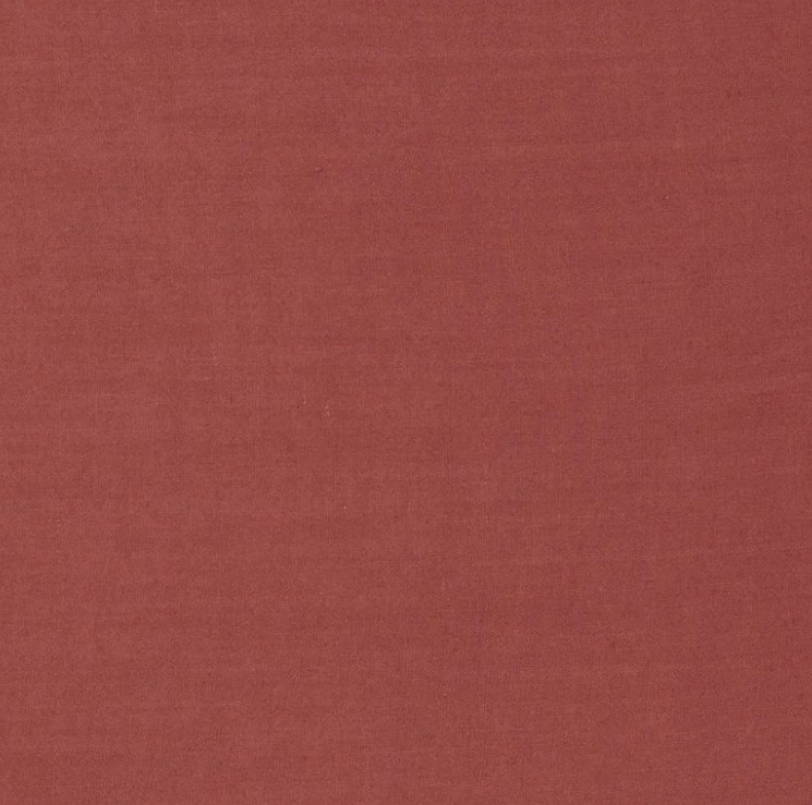 Ruskin - Carmine