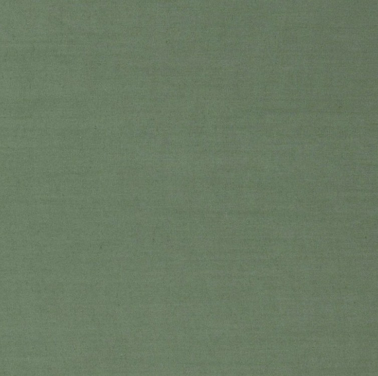 Ruskin - Evergreen