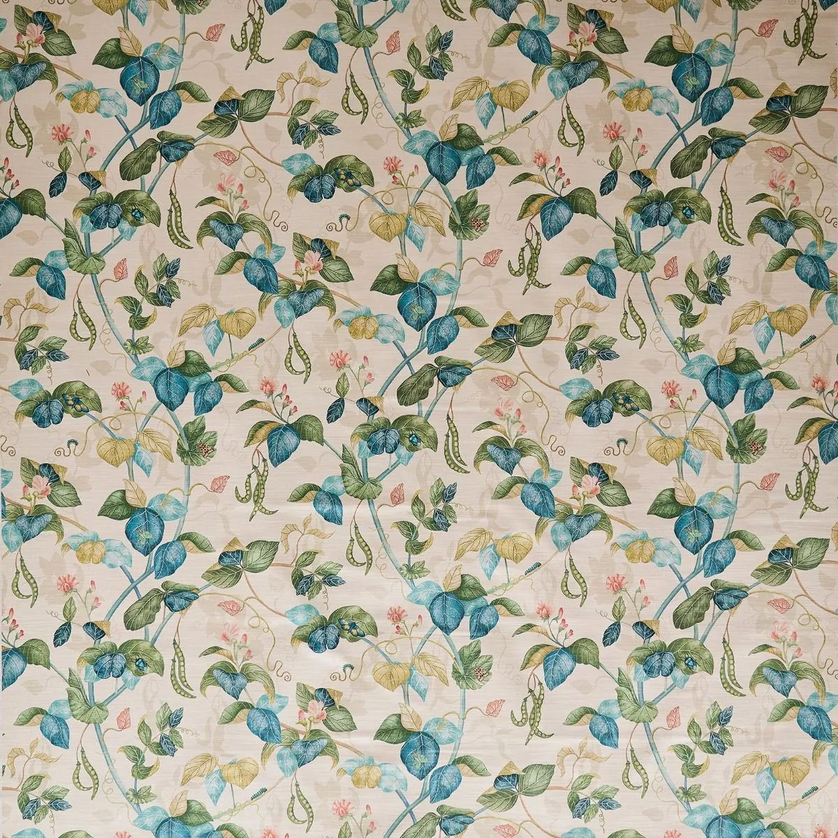 Cupani - Ivory