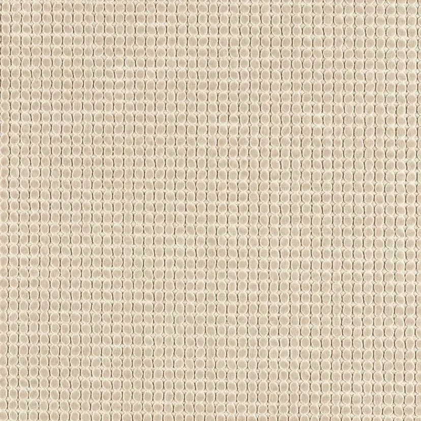 Loopy Spot - Oatmeal