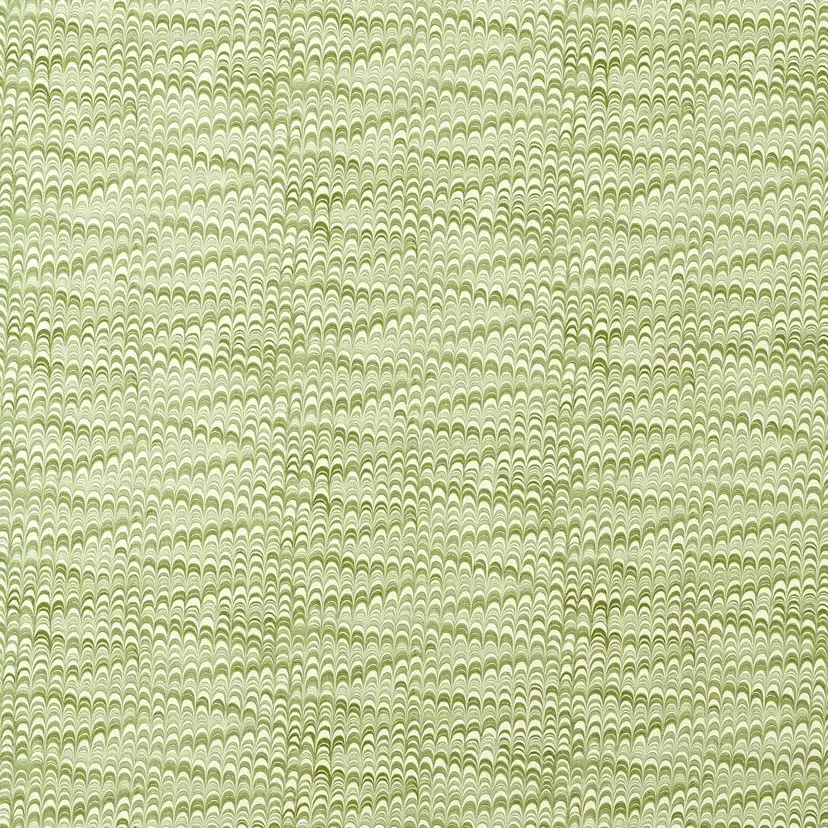 Washi Matcha