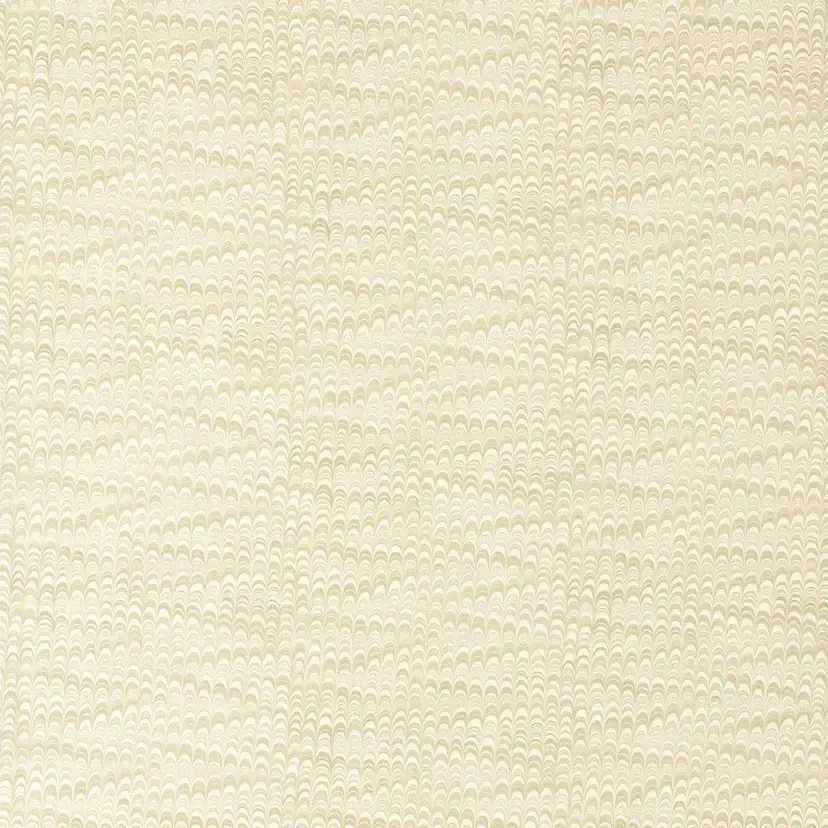 Washi Oatmeal