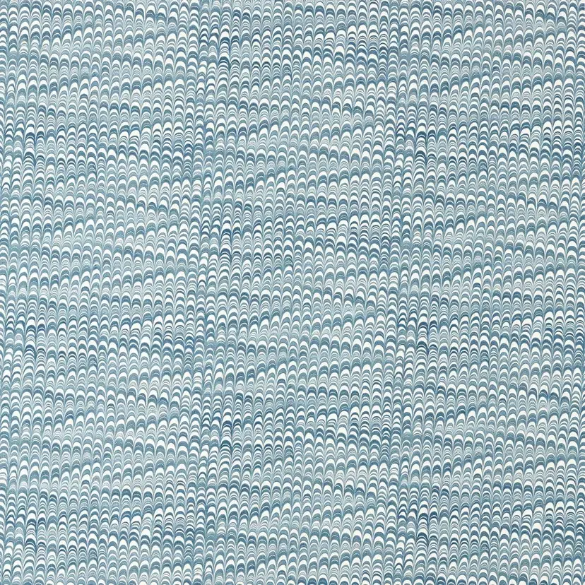 Washi Pacific