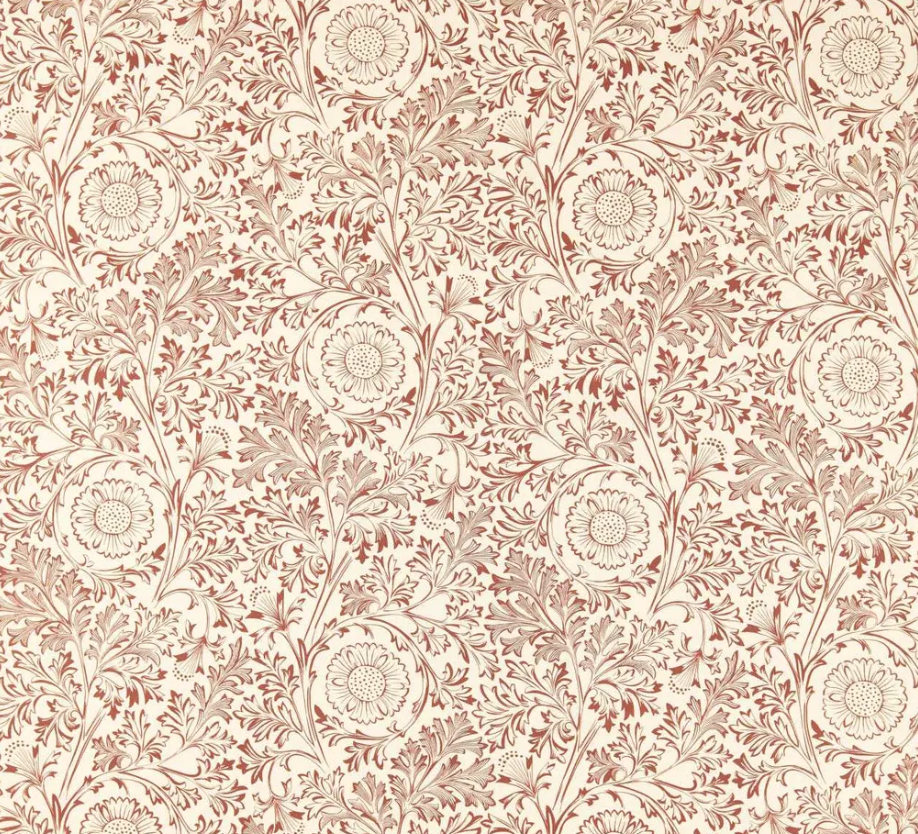 Chamomile - Russet