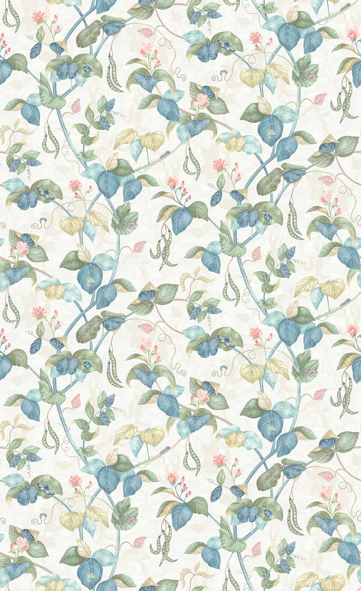 Cupani - Ivory