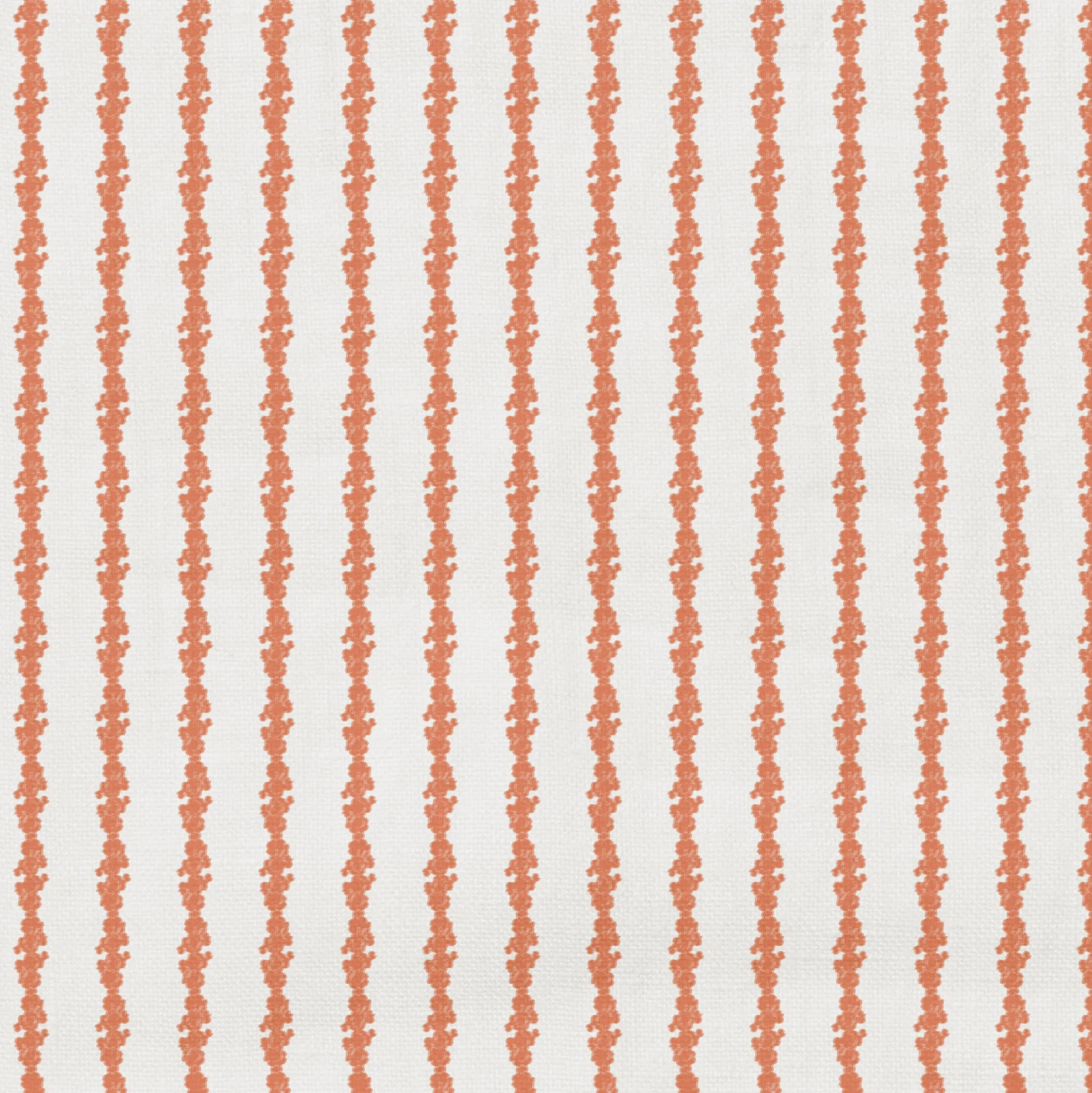 Bunty - Bellini