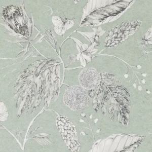 Amborella - Seaglass