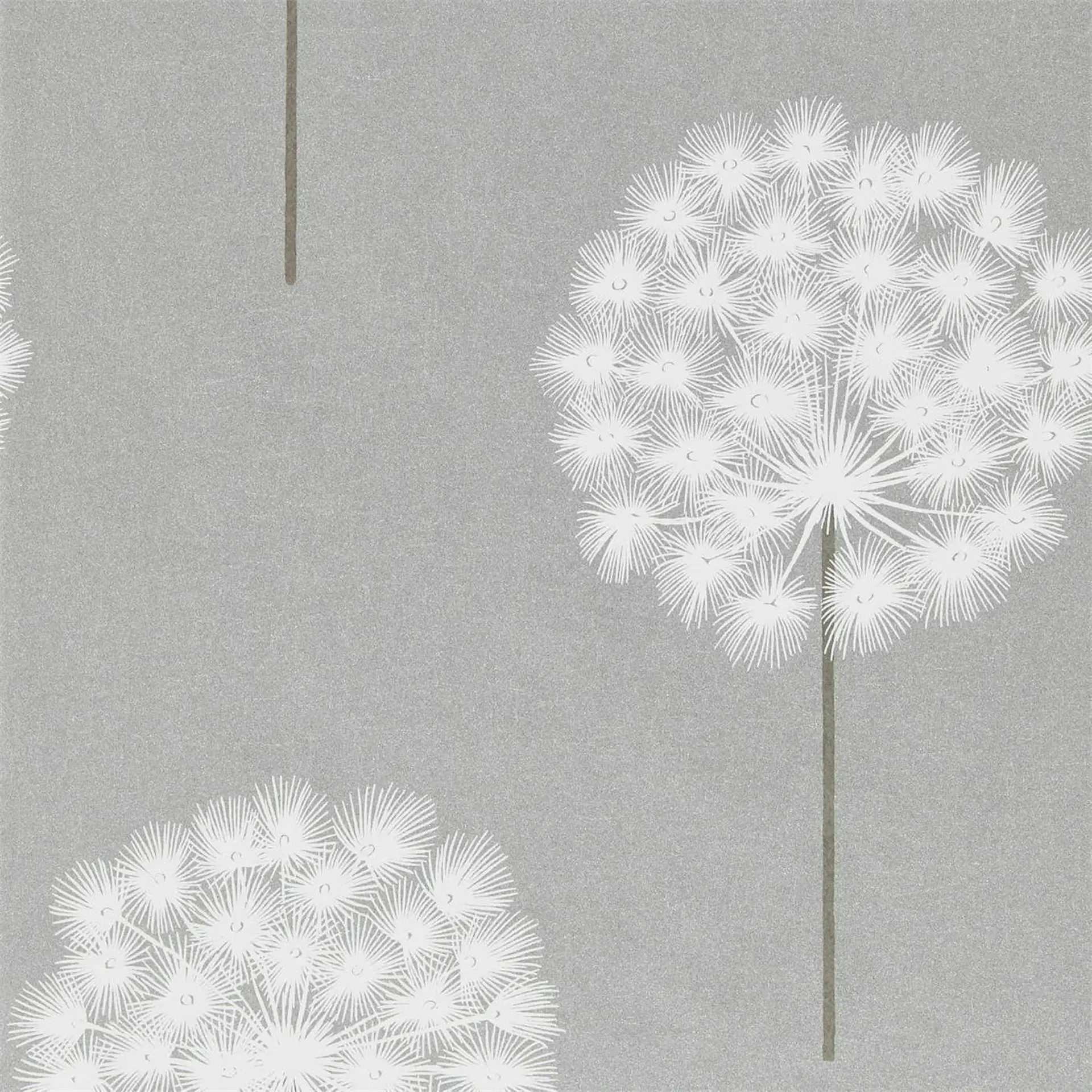 Amity - Silver/Chalk