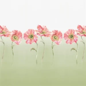 Coquelicot Sage